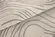 FINGERPRINT SINGULAR