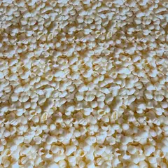 TRICOLINE PIPOCA